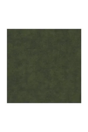 Ultimissimo Modello Basic Palette, Tessuto Verde Foresta Sfumato