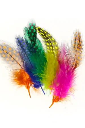 Assortiment de plumes de pintade 5 cm Multicolore x10g Economico