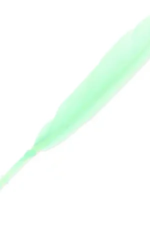 Promo Stagionale Plumes d'oie 10 à 15 cm Mint x100