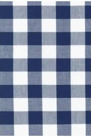 Miglior Prezzo Robert Kaufman, Tessuto Blu e Bianco a Quadri Medi