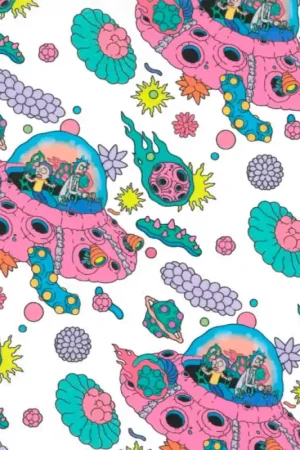 Economico Tessuto popeline in cotone - Rick e Morty - Spazio