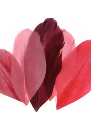 Offerta Lampo Assortiment de plumes 6 cm Camaïeu Rouge x10gr