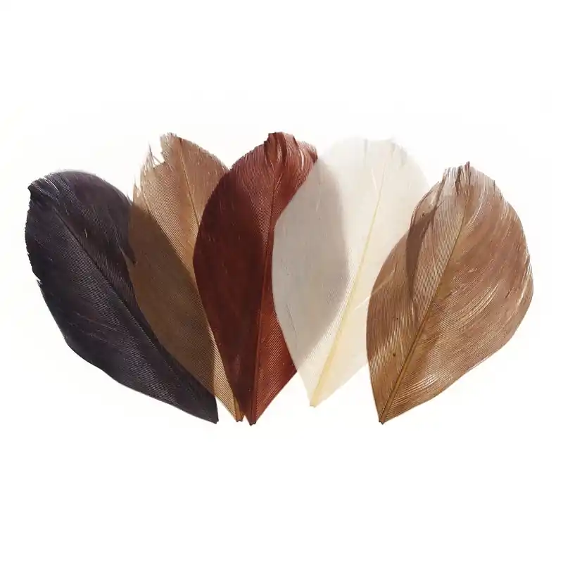 Assortiment de plumes 6 cm Camaïeu Chocolat x10gr Offerta