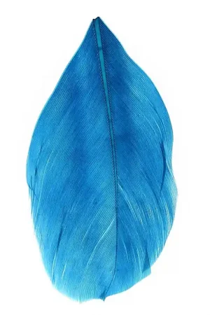 Plumes 6 cm Bleu Pétrole x3gr Novità