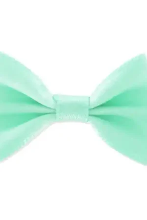 Noeud en satin 37 mm Mint Compra Oggi Stesso