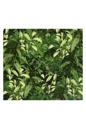 Offerta Del Giorno Wilmington Prints Nature's Song by Michelle Mara, Tessuto Verde Scuro con Foglie