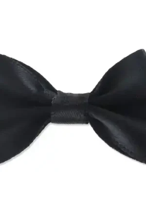 Ordina Subito Noeud en satin 37 mm Noir