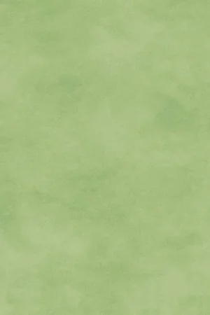 Popolare Maywood Studio Shadow Play, Tessuto Verde Menta Sfumato