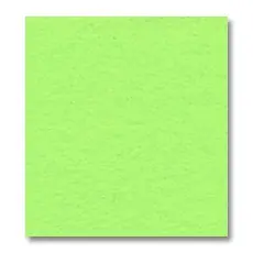 Rectangle de feutrine 1,5 mm 30,5x22,9 cm Neon Green x1 Ordina Subito