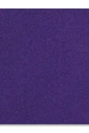 Soddisfatti O Rimborsati Rectangle de feutrine 1,5 mm 30,5x22,9 cm Purple x1