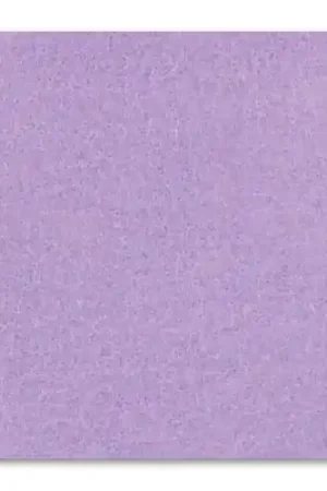 Rectangle de feutrine 1,5 mm 30,5x22,9 cm Parme x1 Vendita Finale