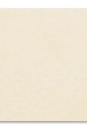 Professionale Rectangle de feutrine 1,5 mm 30,5x22,9 cm Light Peach x1