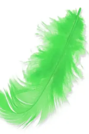 Bestseller Plumes 8 à 12 cm Vert Anis x3gr