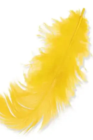 Plumes 8 à 12 cm Jaune x3gr Scelto Dai Clienti