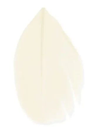 Compra Adesso Plumes 6 cm Crème x3gr