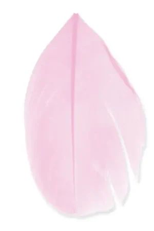 Plumes 6 cm Rose x3gr Spedizione Espresso