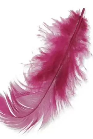 Di Tendenza Plumes 8 à 12 cm Dark Fuchsia x3gr
