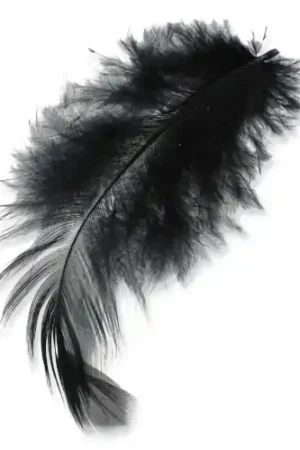 Ultima Occasione Plumes 8 à 12 cm Noir x3gr