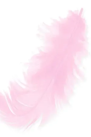 Quantità Limitata Plumes 8 à 12 cm Rose x3gr