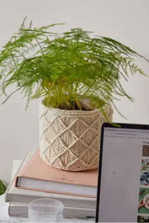 Kit di Macramé- Portafiori Bohemian - DMC Occasione Imperdibile