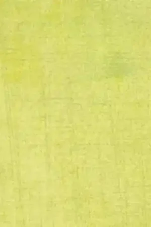 Moda Fabrics, Tessuto Verde Charo Soddisfatti O Rimborsati