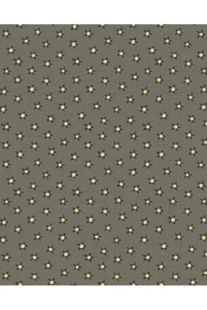 Henry Glass, On The 12th Day by Anni Downs - Tessuto verde polvere con Stelle - 110cm Non Perdere