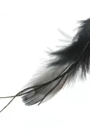 Promozione Esclusiva Plume 80 mm Noir x1