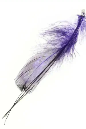 Prezzo Scontato Plume 80 mm Purple x1