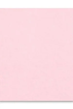 Occasione Rectangle de feutrine 1,5 mm 30,5x22,9 cm Baby Pink