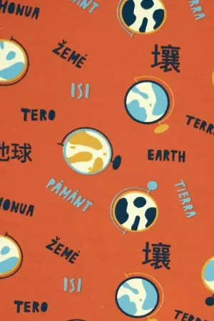 Professionale Tessuto Sweat Katia - Earth