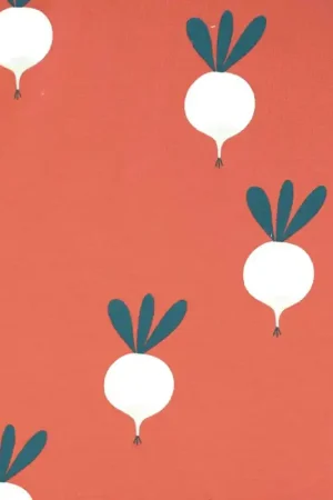 Occasione Tessuto Sweat Katia - Rust Radish