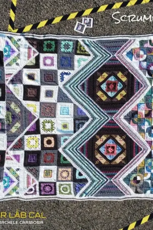 Affare Scheepjes CAL 2022 - Colour Lab CAL