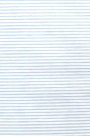 Ultime Pezzi Tessuto Stampato Fondo Bianco con Righine Azzurre, h145