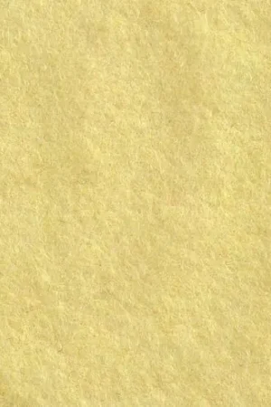 Feltro in coupon - Coupon di feltro - The Cinnamon Patch Soddisfatti O Rimborsati