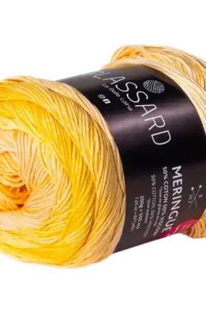 Plassard Meringue Promo Stagionale