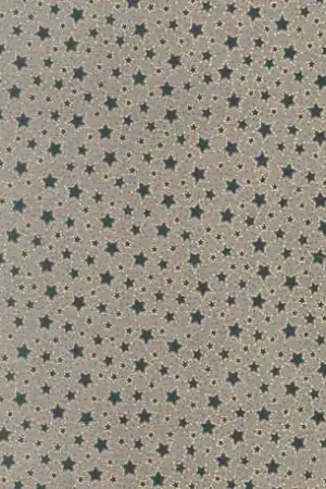 Winter Playground by Lynette Anderson, 31910-60 Novità