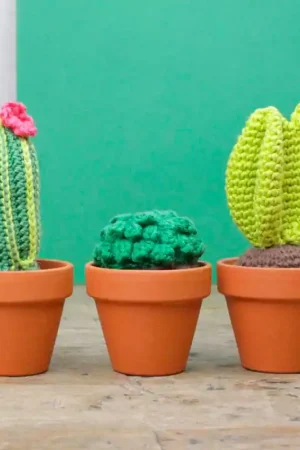 Kit de Amigurumi - Cactus - Hardicraft Subito Disponibile