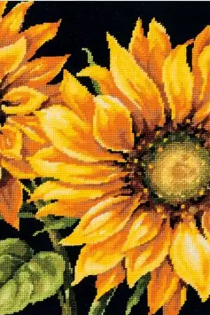 Affare Kit di canovaccio unifilo - Girasole drammatico - Dimensions