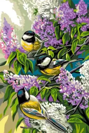 Canovaccio antico - Cuscino da ricamare cincie - Royal Paris Promozione Esclusiva