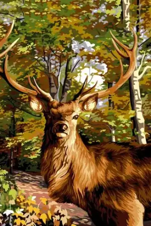 Canovaccio antico - Il principe dei boschi - Margot de Paris Offerta Speciale