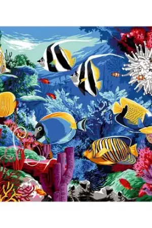 Canovaccio antico - Acquario - Margot de Paris Prezzo Conveniente