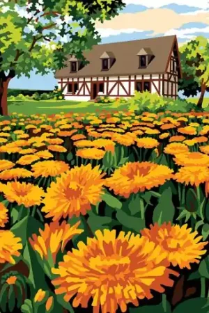 Sconto Canovaccio antico - Alla fine del campo - Margot de Paris