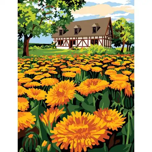 Sconto Canovaccio antico - Alla fine del campo - Margot de Paris