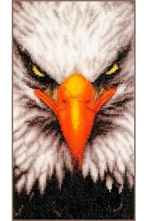 Occasione Imperdibile Kit Punto Croce - Aquila - Lanarte