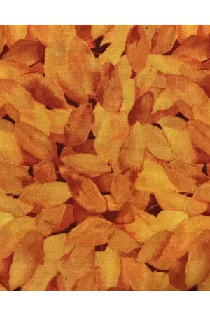 South Sea Import Q1822-58715-858 Più Venduto