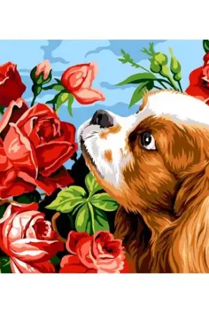 Reso Gratuito Canovaccio antico - King charles e le rose - Margot de Paris