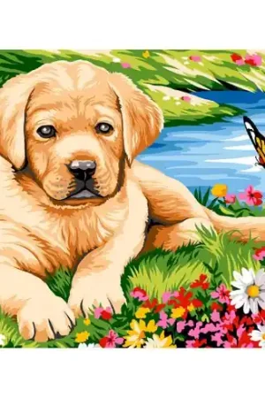 Canovaccio antico - Piccolo Labrador - Margot de Paris Prezzo Basso