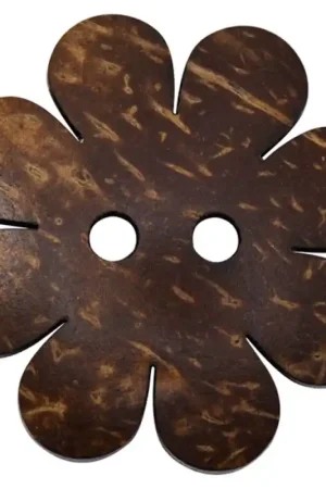 Bottone di Cocco - Fiore Compra Oggi Stesso