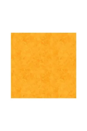 Novità Wilmington Prints, 1810-42324-550