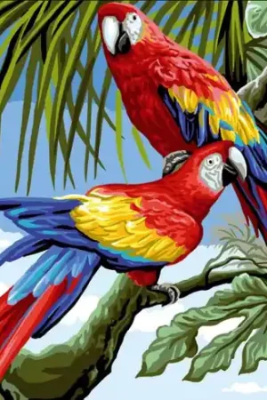 Canovaccio antico - Aras - Luc Créations Scelto Dai Clienti